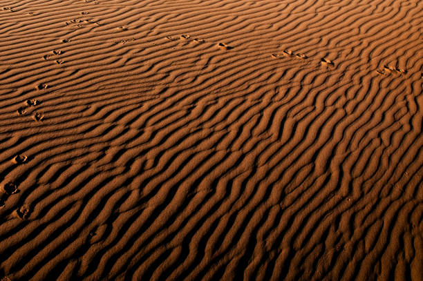 USA Southwest outdoors: hiking on the trails of Arches National Park. Landscapes and Southwest USA desert ecosystem: the sand footprints