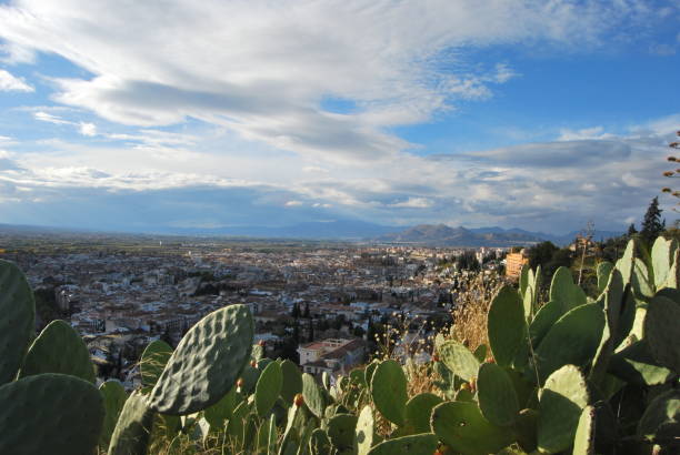Aerial view of Granada from El Barranco del Abogado