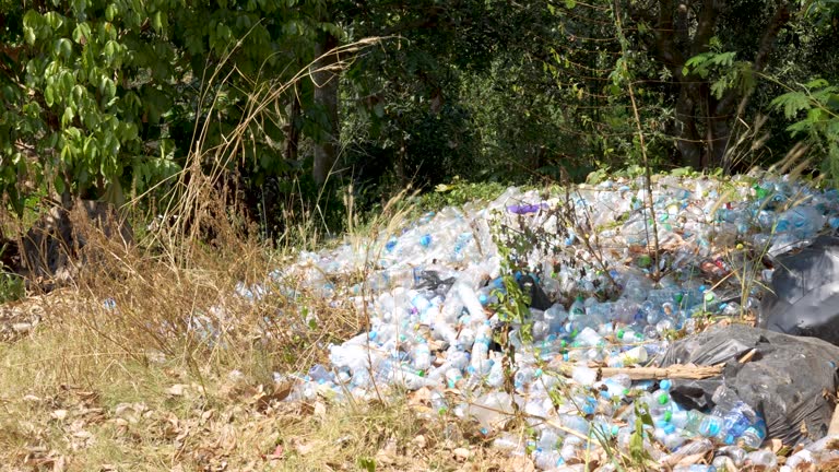Pile of discarded plastic bottles littering a natural environment, sunlit