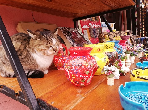 A cat sits next to colorful ceramic works in a gift shop