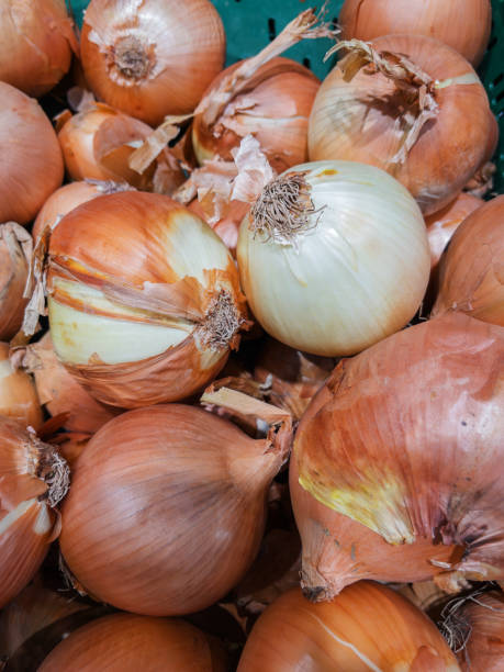 istock Fresh Yellow Onions in a Basket 2150211406