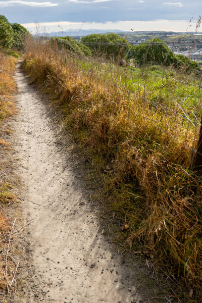 istock Walking track at Cape Wanbrow, Oamaru, NZ. 2150214383