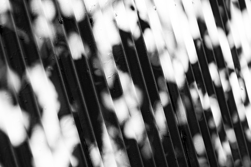 Black and white old corrugated iron fence with shadow of tree leafs, abstract background with copy space, full frame horizontal composition