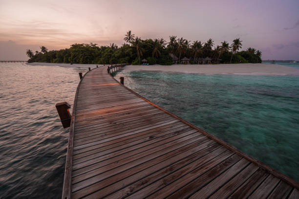 Boardwalk into tropical paradise island