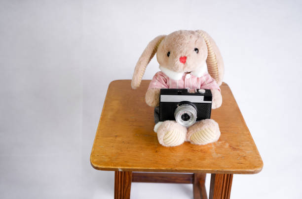 Cute plush frog wearing a crown, chilling with an instant camera on a clean white background. Playful minimal concept for photography, creativity, and fun design.