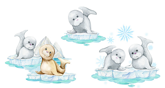 cute seals, ice floes, snowflakes. Watercolor set of cliparts, in cartoon style, on an isolated background.