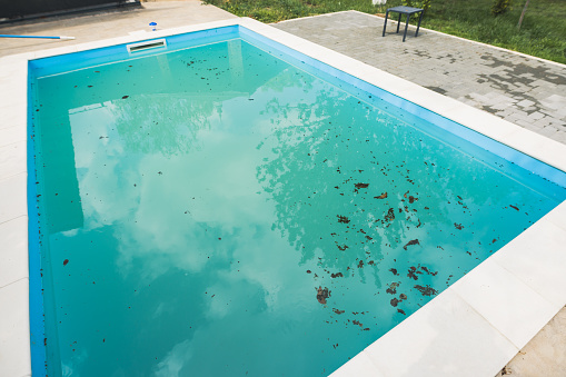 Dirty swimming pool, full of water, with floating leaves