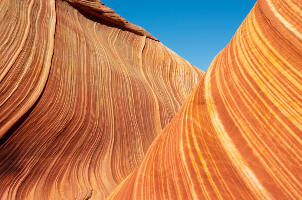 istock The Wave at Coyote Buttes North 2150225557