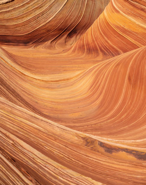 istock The Wave at Coyote Buttes North 2150225582
