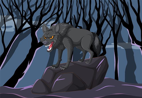 Angry wolf howling on a rock at night