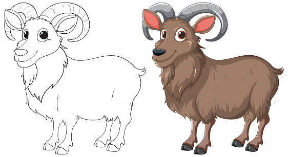 Vector illustration of a ram, outlined and colored