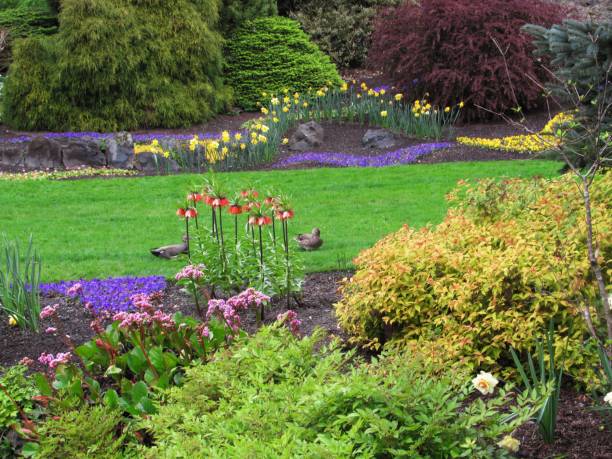 istock Colourful Springtime Flower Landscape At Q.E. Park Garden 2150230723