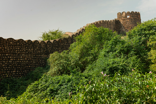Stone wall of Rao Jodha Desert Rock Park, Jodhpur, Rajasthan, India. Near the historic Mehrangarh Fort , park contains ecologically restored desert and arid land vegetation, a tourist spot.