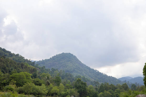 Mountains and trees in the sky with gray clouds obscuring the sun.