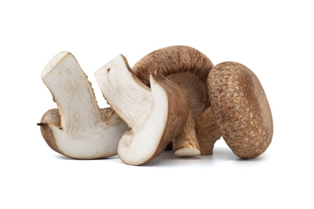 istock Shiitake mushrooms in close up isolated on white background 2150234439