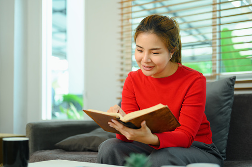 Peaceful young woman in red sweater reading book on comfortable couch at home.