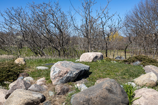 This image shows a cluster of large textured rocks setting on a treelined rise in a rustic nature park, in early spring.