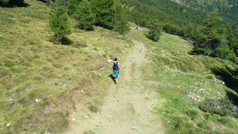 Aerial drone shot of a professional  lone mountain trekker running on mountain trail.