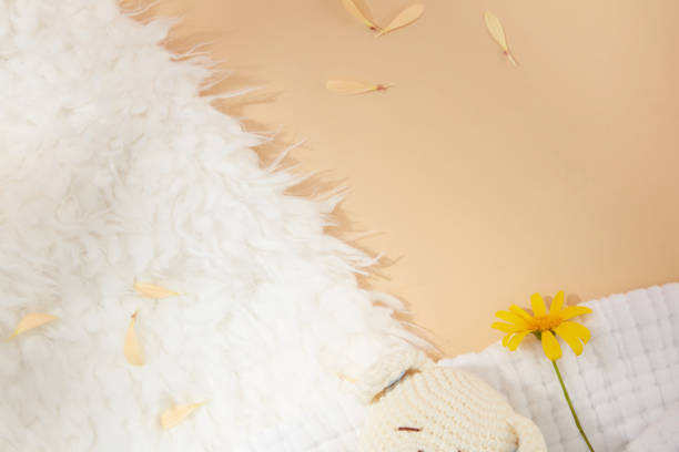 istock Background for designing with a half side is white feather carpet and other side milk brown background decorated by a cute teddy bear and a daisy. Top view, space for adding text and elements 2150238619