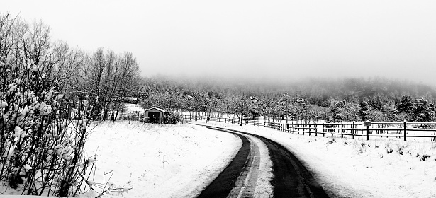 Colorado Snow Path