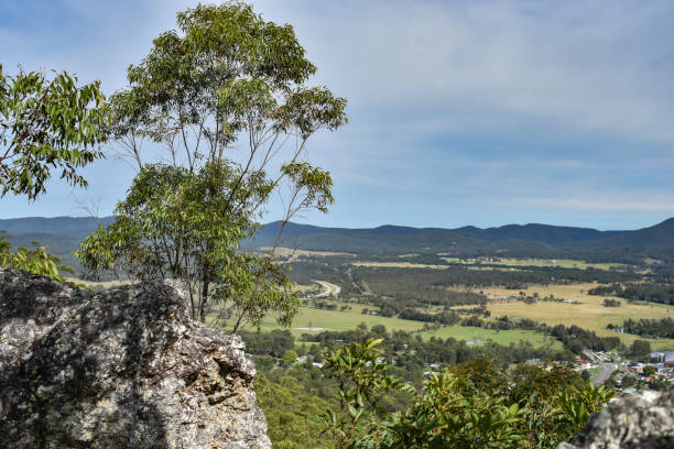 istock Hiking trail to Mount Alum, Bulahdelah 2150240154