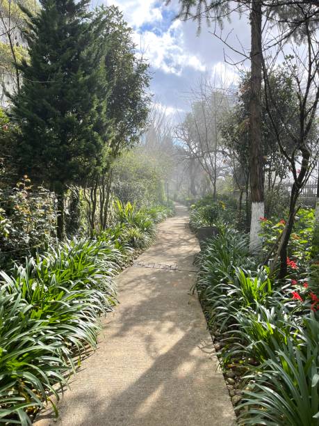 istock Outdoor cement walkway in the garden 2150244355
