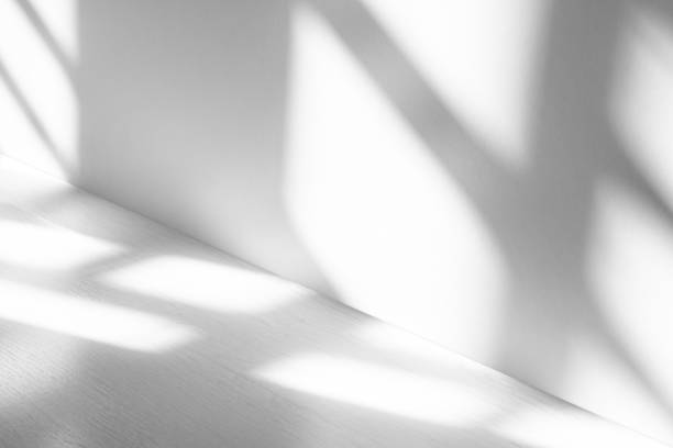 istock Wall interior background, studio and backdrops show products.with shadow from window color white . background for text insertion and presentation product 2150244549