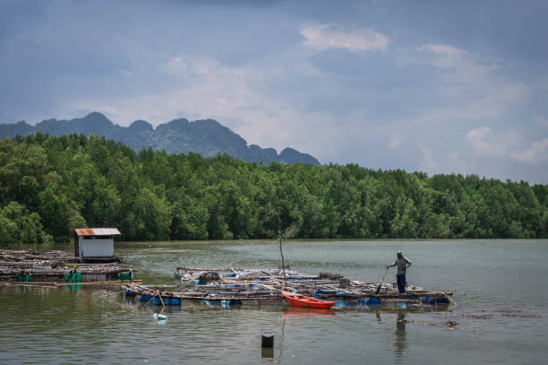 Beautiful landscape of green trees, mountains and water in a deep bay, Krabi Province, 13 April 2021.