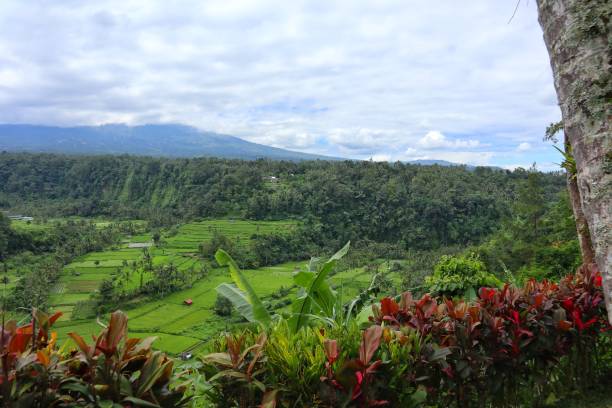 istock a view of a valley 2150247835