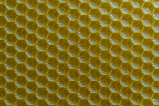 Background texture and pattern of section voshchina of wax honeycomb from a bee hive for filled with honey. Voshchina an artificial basis for the construction of honeycombs, sheet of wax of the cells