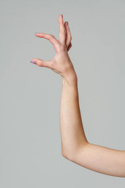 istock Female hand sign against gray background in studio 2150249346