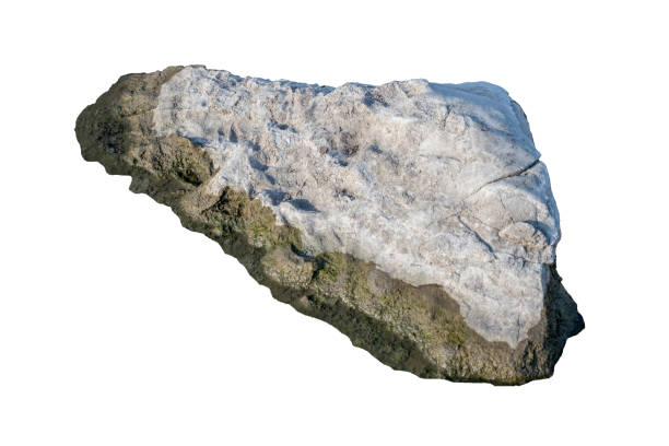 istock The trees.Rocks and Stone on the Mountain .Isolated on White background 2150250082