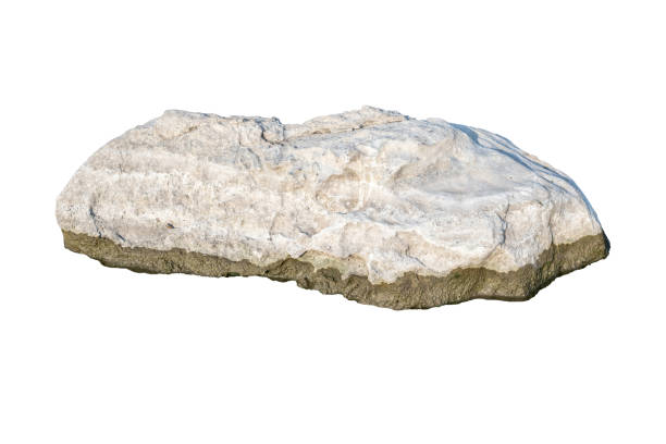 istock The trees.Rocks and Stone on the Mountain .Isolated on White background 2150250086