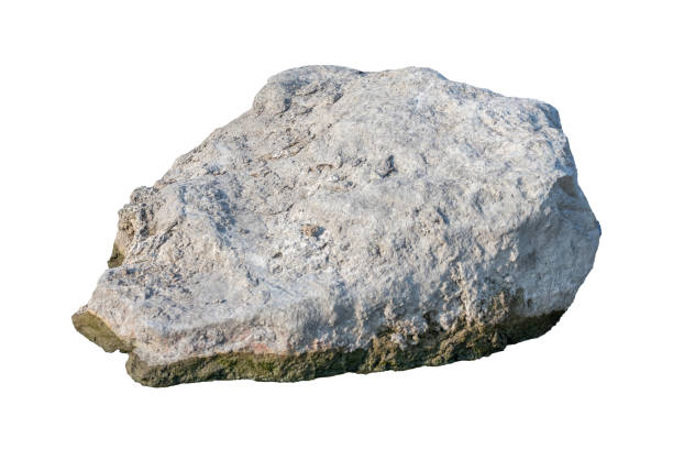 istock The trees.Rocks and Stone on the Mountain .Isolated on White background 2150250095
