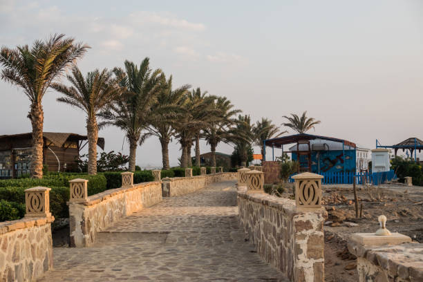 istock path with lanterns and palm trees to the beach at the red sea 2150250394
