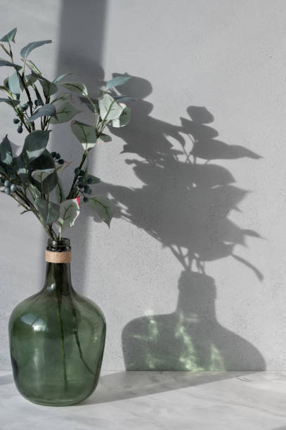 istock Green vase with tree branches with lush foliage on neutral gray marble table top, textured concrete wall background with aesthetic sunlight shadows, shelf or counter template for product placement 2150250556