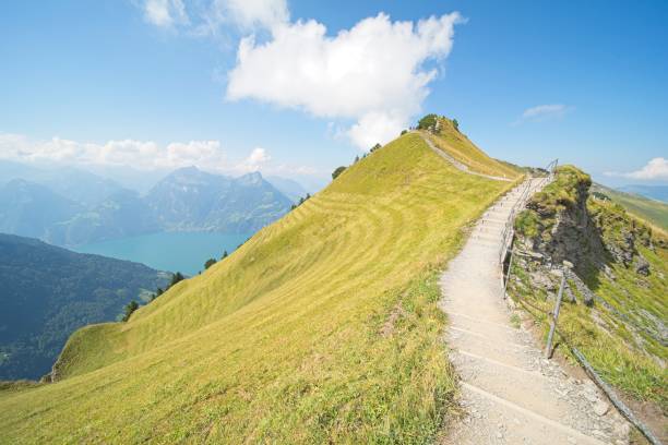 istock landscape in central switzerland 2150251513