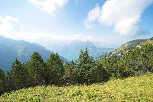istock landscape in central switzerland 2150251536