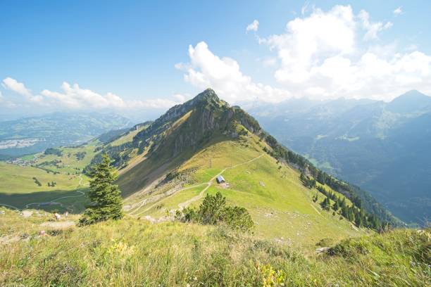istock landscape in central switzerland 2150251938
