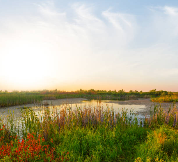istock small calm lake among prairie at the sunset 2150254307