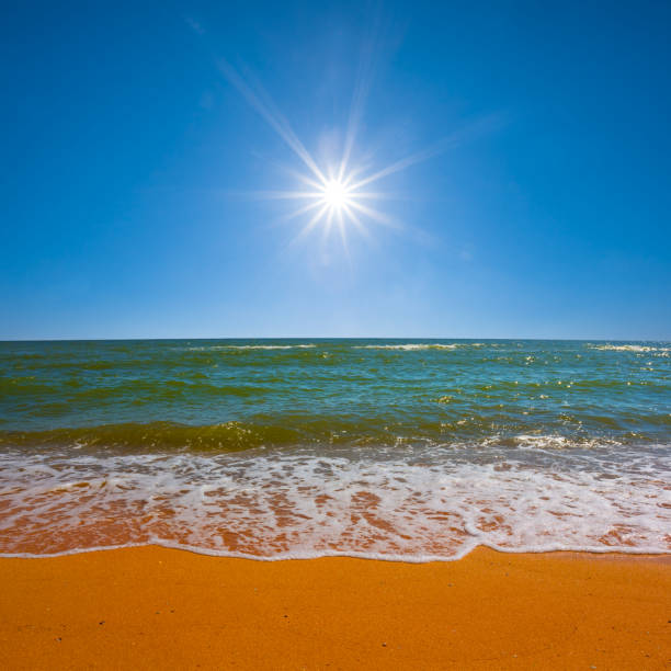 sandy sea beach at the summer sunny day
