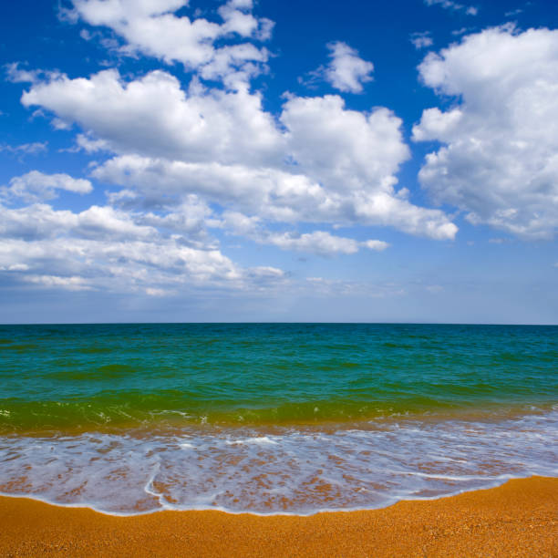 istock summer sandy sea beach under blue cloudy sky 2150254480