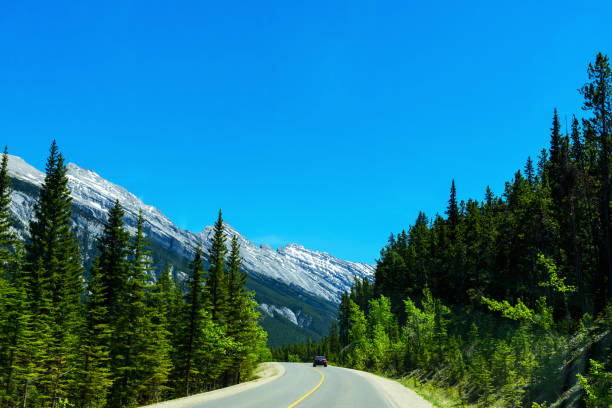 istock Road through the Canadian Rocky Mountains 2150255154