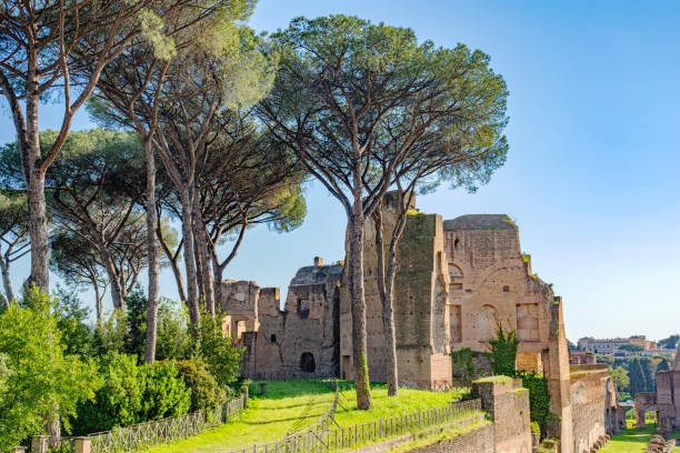 istock Rome italian forum palatino 2150255556