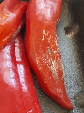 Musty red bell pepper