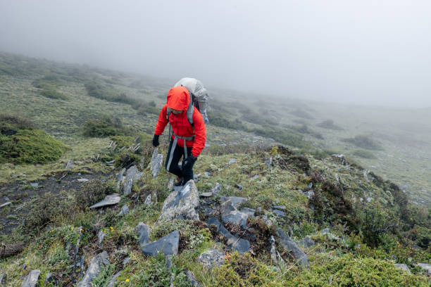 istock Hiking woman on high altitude mountain top 2150257884