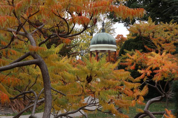 istock Autumn at Margaret Island 2150259828