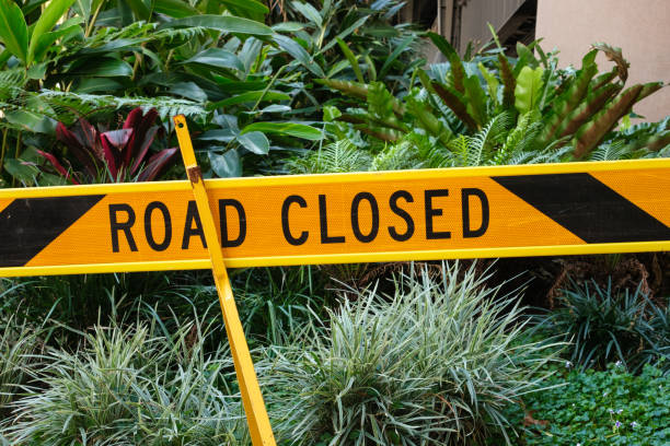 istock Road closed barrier amongst plants 2150260621