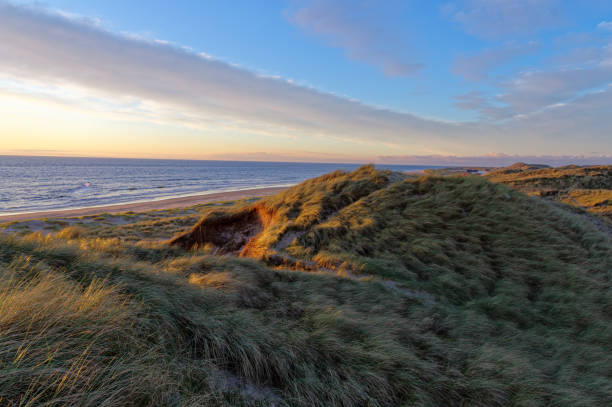 istock Dunes in Schoorl, North Holland landscape, seaside climate. 2150262202