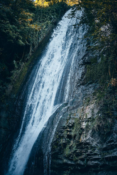 istock Waterfall in Tbilisi botanical garden 2150264937